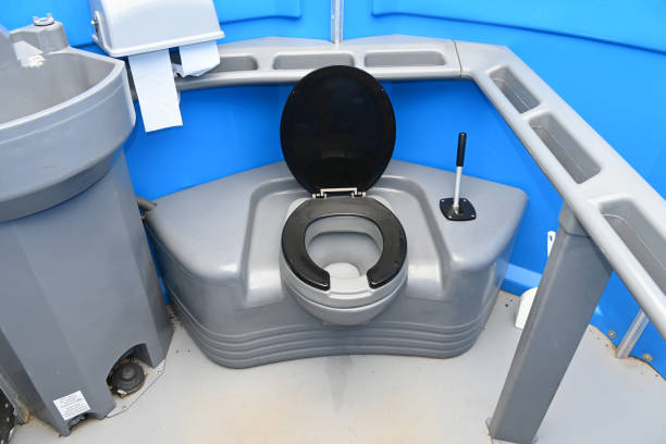Best Local porta potty services  in Brown City, MI