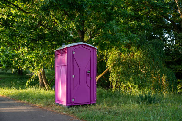 Best Porta potty rental near me  in Brown City, MI